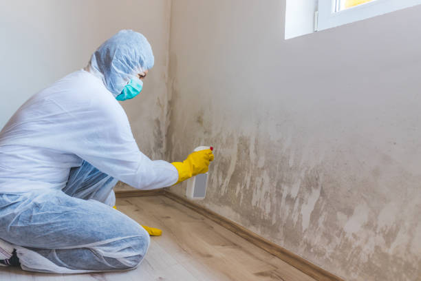 Mold Remediation specialist working in Moncure