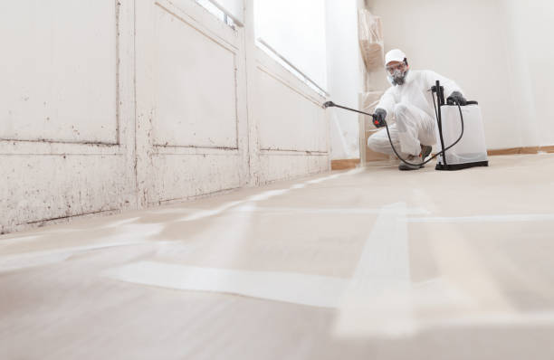 Black mold remediation team in Moncure
